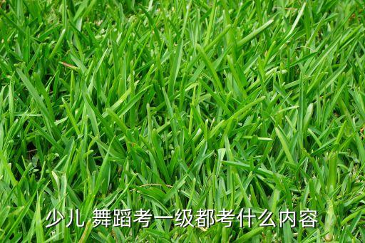 幼儿中国舞舞蹈简介,幼儿舞蹈张灯结彩开场舞
