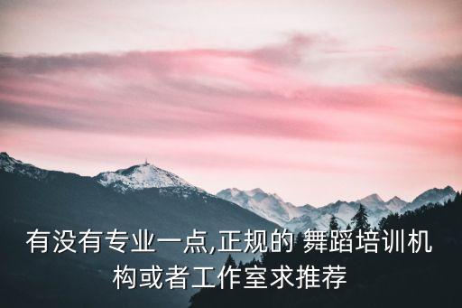 有没有专业一点,正规的 舞蹈培训机构或者工作室求推荐