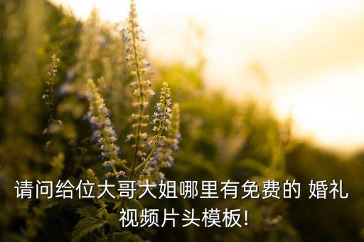 新疆婚礼上的舞蹈视频下载