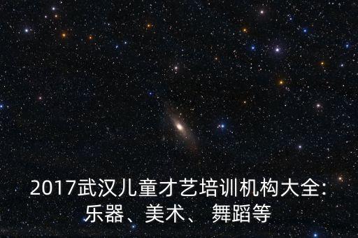 2017武汉儿童才艺培训机构大全:乐器、美术、 舞蹈等