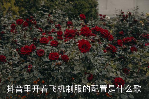 抖音里开着飞机制服的配置是什么歌
