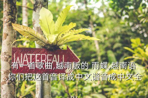 雨蝶舞蹈完整版音乐