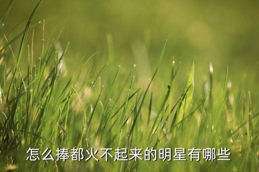 怎么捧都火不起来的明星有哪些
