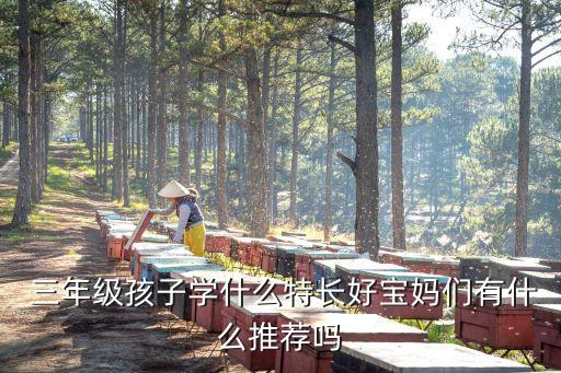  三年级孩子学什么特长好宝妈们有什么推荐吗
