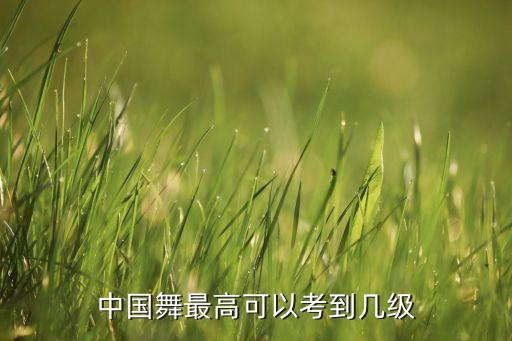中国舞最高可以考到几级