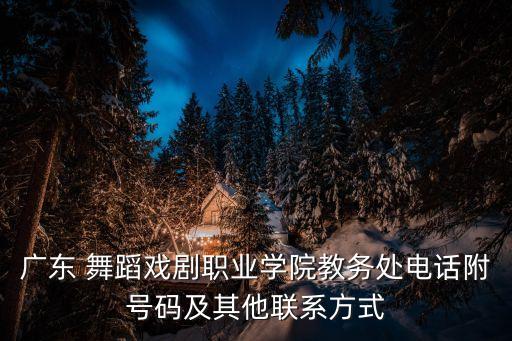 广东 舞蹈戏剧职业学院教务处电话附号码及其他联系方式