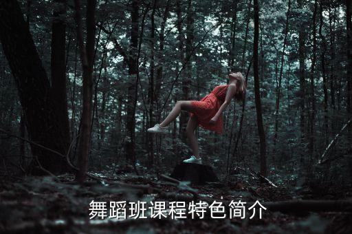  舞蹈班课程特色简介