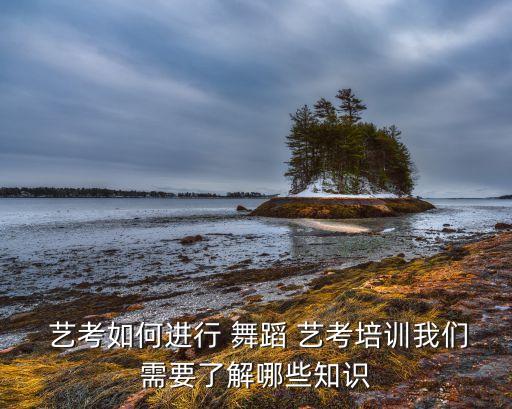  艺考如何进行 舞蹈 艺考培训我们需要了解哪些知识