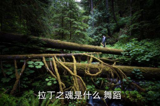恰恰舞蹈视频单人舞,恰恰恰舞蹈教学视频完整版
