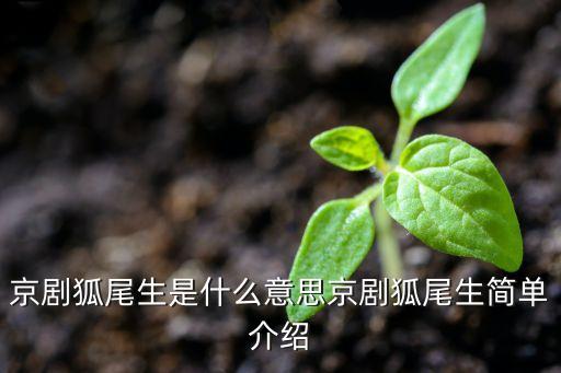 有翎子的舞蹈,翎子舞蹈剧目独舞