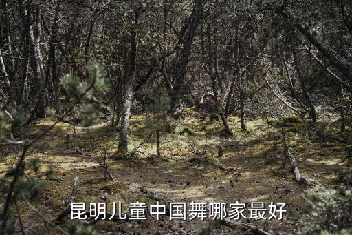  昆明儿童中国舞哪家最好