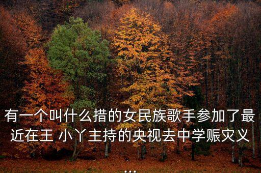 奎屯小丫舞蹈,奎屯最好的舞蹈学校