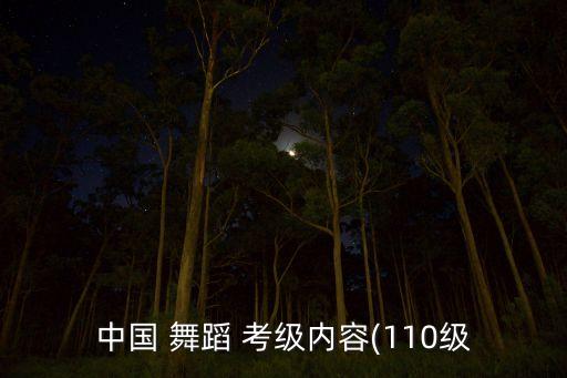 中国 舞蹈 考级内容(110级
