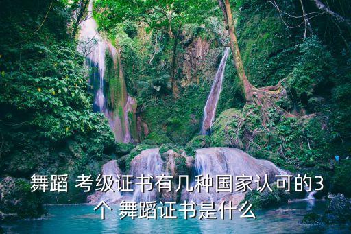  舞蹈 考级证书有几种国家认可的3个 舞蹈证书是什么