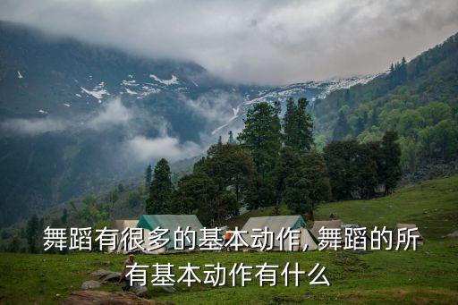  舞蹈有很多的基本动作, 舞蹈的所有基本动作有什么