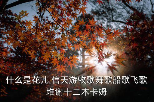 信天游舞蹈视频播放,高先玉的原创舞蹈视频播放