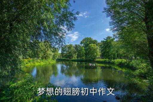 燃烧的梦舞蹈视频,燃烧我的卡路里舞蹈视频完整版