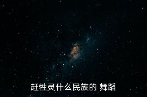 赶牲灵什么民族的 舞蹈