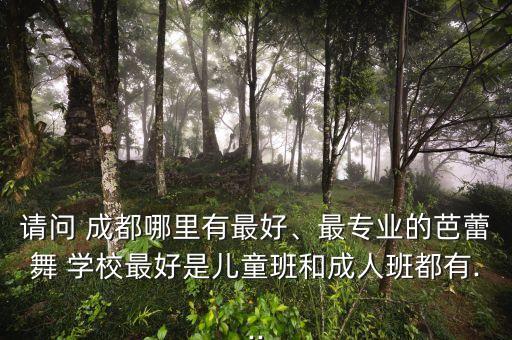 成都假期舞蹈培训学校,成都舞蹈艺考培训学校哪家好