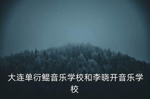  大连单衍鲲音乐学校和李晓开音乐学校