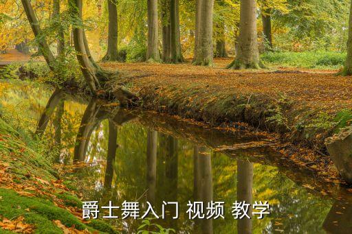 爵士舞入门 视频 教学