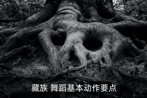  藏族 舞蹈基本动作要点