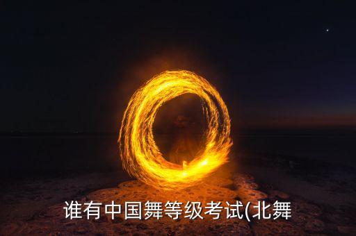 教师10级舞蹈视频大全,教师啦啦操舞蹈视频