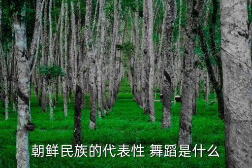 单扇长绸扇舞蹈