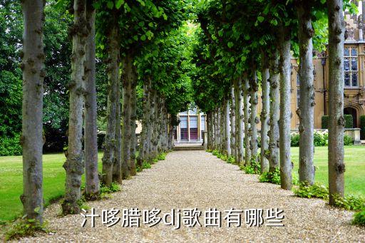 汁哆腊哆dj歌曲有哪些