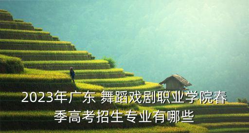 广州舞蹈学校,广东舞蹈学校怎么样啊