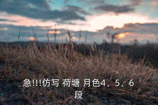 急!!!仿写 荷塘 月色4、5、6段