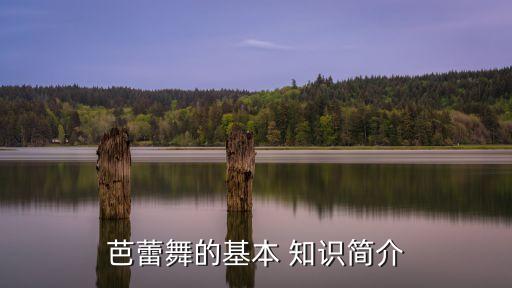 舞蹈日常理论知识大全,舞蹈理论知识100题选择题