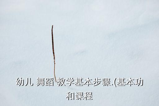 幼儿 舞蹈 教学基本步骤.(基本功和课程