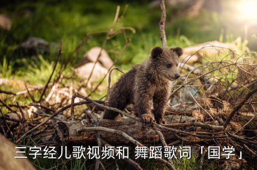 五常第一舞蹈,五常飞扬舞蹈学校电话