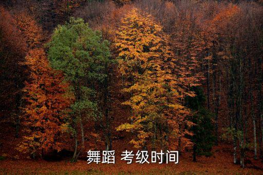 舞蹈 考级时间