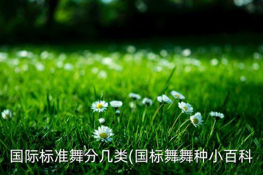 国际标准舞分几类(国标舞舞种小百科