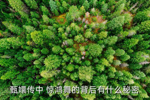 甄嬛传中 惊鸿舞的背后有什么秘密