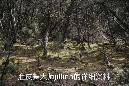 肚皮舞大师jillina的详细资料
