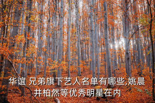 华谊 兄弟旗下艺人名单有哪些,姚晨井柏然等优秀明星在内