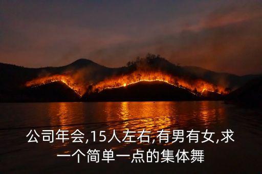 公司年会,15人左右,有男有女,求一个简单一点的集体舞