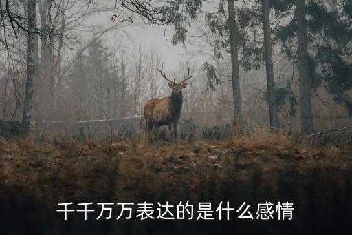 千千万万个日夜舞蹈,你是我千千万万个日夜的思念