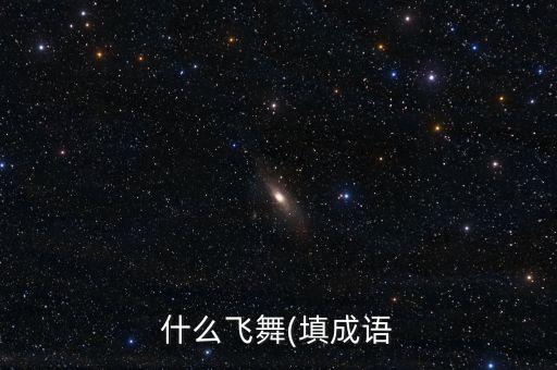 什么飞舞(填成语