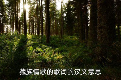 藏族情歌的歌词的汉文意思