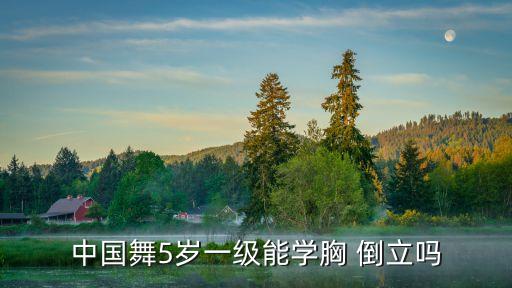 中国舞5岁一级能学胸 倒立吗