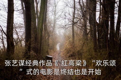 现代舞红高粱舞蹈视频,好看的舞蹈视频现代舞女生版