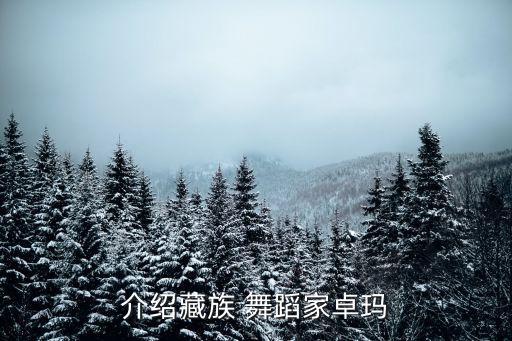 介绍藏族 舞蹈家卓玛