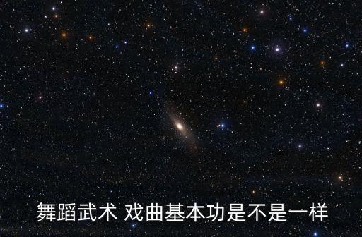  舞蹈武术 戏曲基本功是不是一样