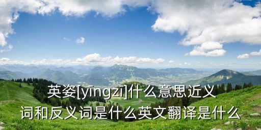啥爽英姿舞蹈視頻,2019春晚英姿舞蹈视频