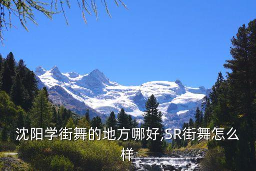 沈阳学街舞的地方哪好,SR街舞怎么样