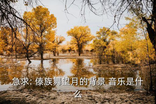 急求: 傣族舞望月的背景 音乐是什么